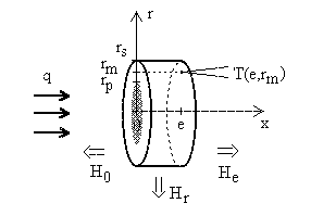 Fig 4. Mathematical model of the radial heat flow step heating method